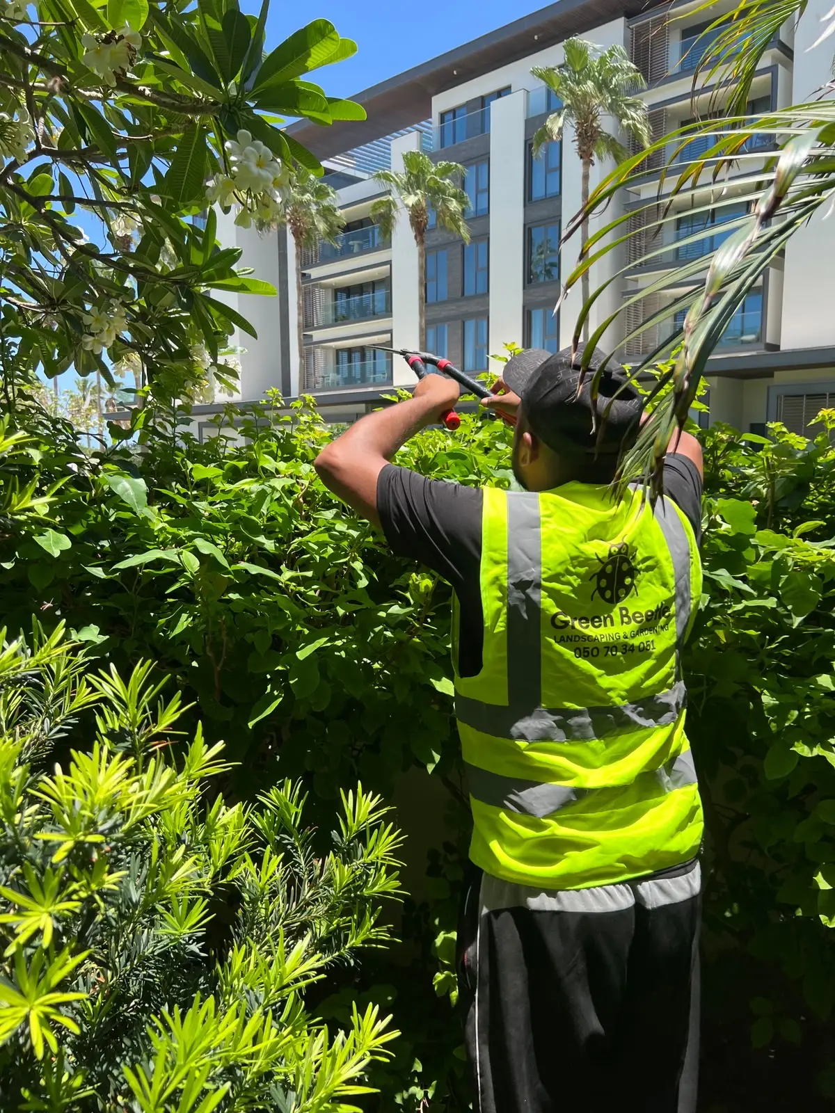 Hedge and tree pruning at a residential community